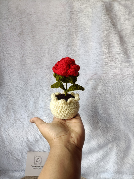 Rose Pot