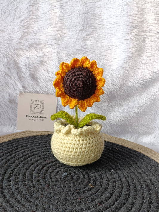 Sunflower Pot