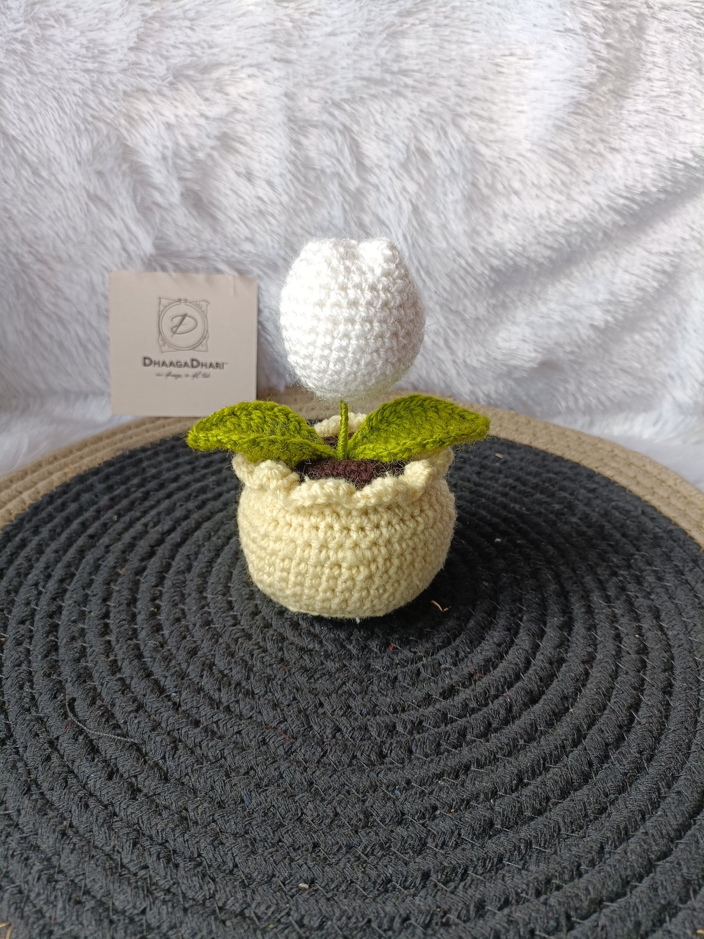 Hand-Crocheted "Forever Bloom" Tulip Pot (5 Inches)